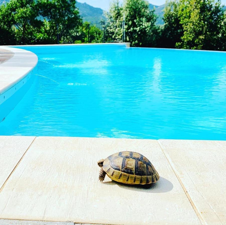 Villa Anastasia Cugnana Kültér fotó